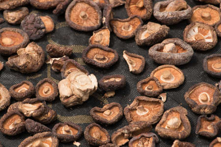 Brown chinese mushrooms laid out to dry in the sunの写真素材