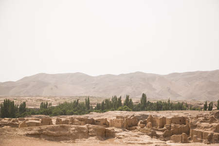 Line of trees and ruins of an ancient city in xinjiang chinaの写真素材