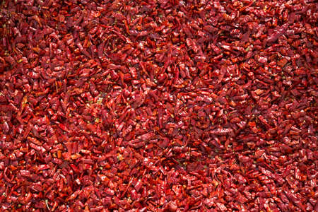 Red hot chili pepper background texture in the sunの写真素材