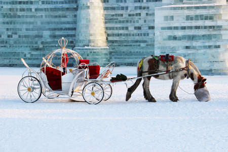 Horse and carriage in winter in the ice city of Harbinの写真素材