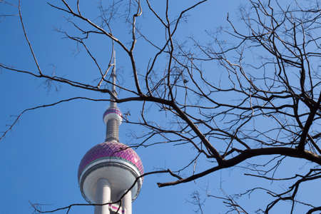 Shanghai,China - 02 10 2016: Top of the Pearl tower behind leafless tree in front of blue sky on a crystal clear day without pollution due to the chinese new year festival shutdownのeditorial素材