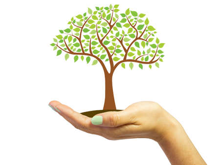 Woman's hand with green fingernails holds a tree with green leafsの写真素材