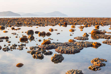 Exposed coral reef at low tide on a beach on Langkawi island Malaysia with a mountain range backgroundの写真素材