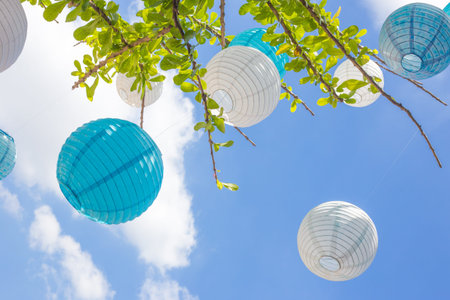 White and blue lanterns hanging from a tree on a sunny summer day