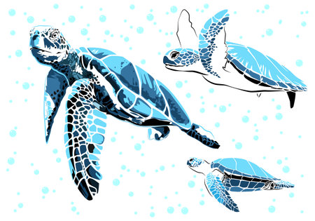 graphic sea turtle,vector illustration of sea turtle,vector of turtle design on a white backgroundのイラスト素材