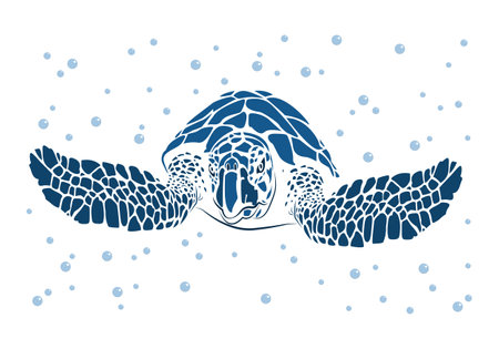 graphic sea turtle,vector illustration of sea turtle,vector of turtle design on a white backgroundのイラスト素材