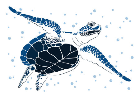 graphic sea turtle,vector illustration of sea turtle,vector of turtle design on a white background