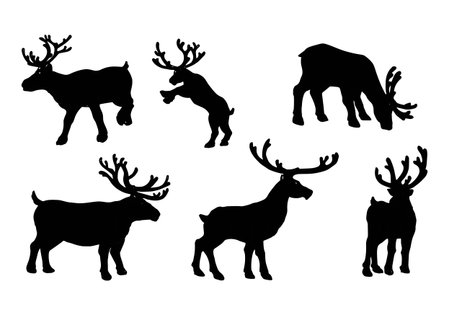 deer vector illustration.Reindeer,Isolated object.のイラスト素材