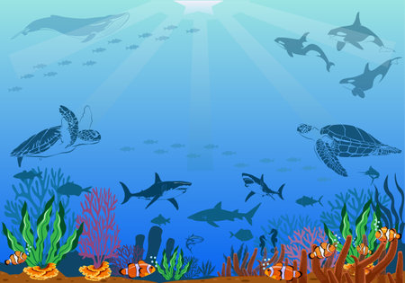 Underwater scene with coral reefs and exotic fish.vector hand drawn sea turtle life elementsのイラスト素材