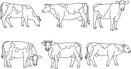 Cow, farm animal line icon.Black silhouette cow isolated on white. Hand drawn vector illustration.のイラスト素材