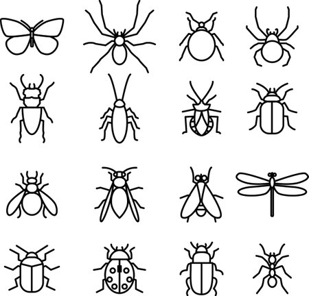 Insect collection illustration,Set of simple insect line icons. Outline stroke object.  Perfect for web apps and mobile.のイラスト素材
