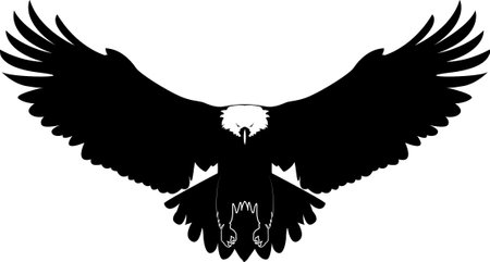 A wild bird eagle flies with outstretched wings. Vector drawing linear sketch isolated on white background.のイラスト素材