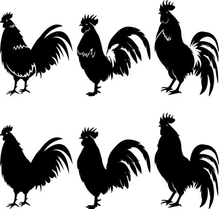 chicken, female chicken, chicks, Hen silhouette isolated on white background,chicken silhouette set.のイラスト素材