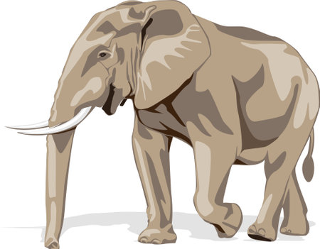 elephants biggest earth mammal  animal design vector illustration on white background.iconのイラスト素材