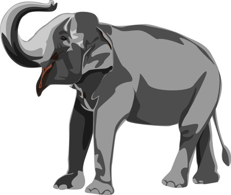 elephants biggest earth mammal  animal design vector illustration on white backgroundのイラスト素材