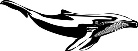 Vector illustration of a whales . dolphin silhouette isolated on white background.iconのイラスト素材