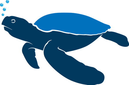 graphic sea turtle , vector illustration of sea turtle ,turtle design on a white background,iconのイラスト素材