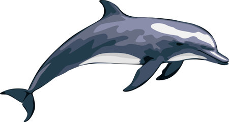 Flat two blue dolphins in a jump. Cute dolphins jumping on a white. Vector flat or cartoon illustration isolated on white.のイラスト素材