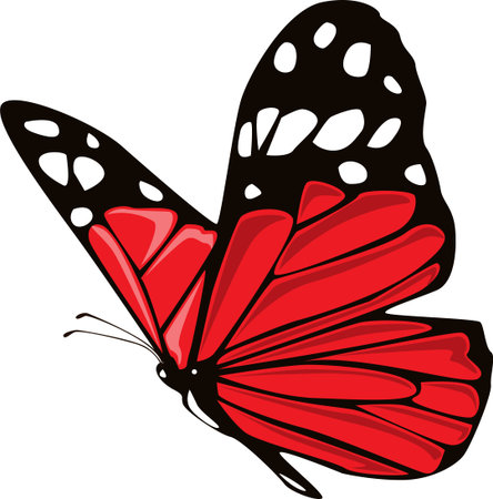 butterfly isolated on white background.The butterfly spreads its wings and is ready to flyのイラスト素材