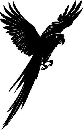 Illustration of a colorful parrot Bird on Isolated White Background,のイラスト素材