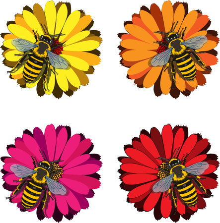 Close-up of bees collecting nectar from colorful wildflowers. The image captures the details of the wings, eyes.のイラスト素材