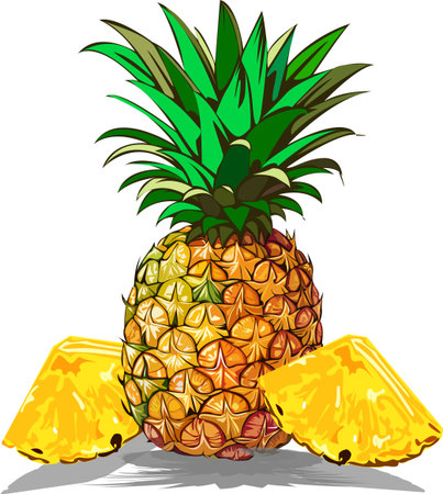 Ripe pineapple fruit. Pineapple isolated on white background, clipping path, full depth of fieldのイラスト素材