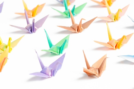 Colorful paper birds on white background.の写真素材