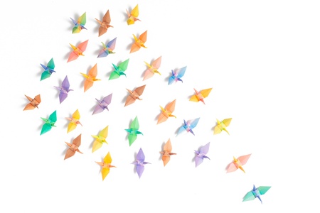 Colorful paper birds on white background.の写真素材