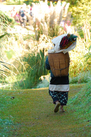 walk of life - hill tribeの写真素材