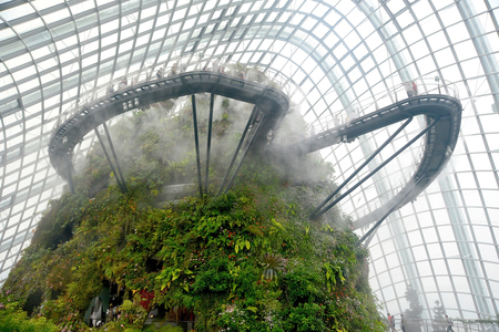 Cloud Forest is located in Garden by the bay, Singapore.It's the wworld's largest columnless glasshouse.のeditorial素材