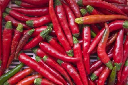 red chilliの写真素材