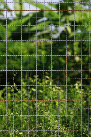rust wire fenceの写真素材