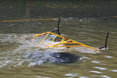 BANGKOK - OCT 30: Unidentified residents of Bangkokのeditorial素材
