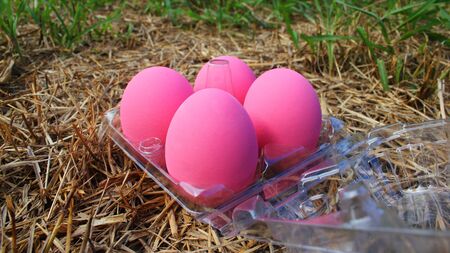 Salted Eggs on grassの写真素材