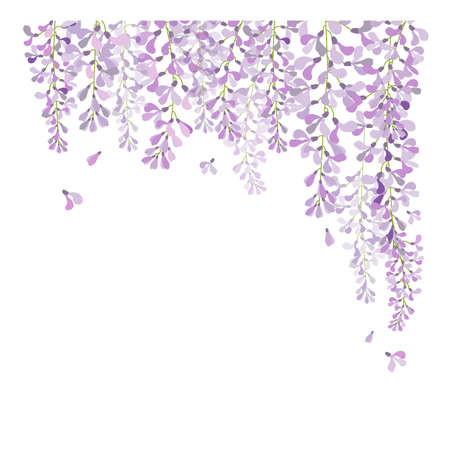 vector wisteria,purple flower in garden,wedding,card,のイラスト素材