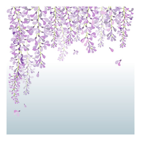 vector wisteria,purple flower in garden,wedding,card,のイラスト素材
