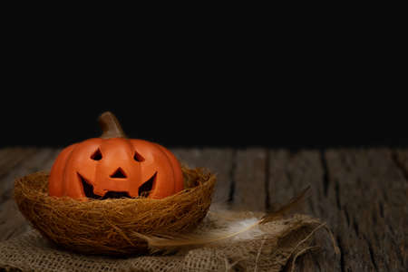 Still life Halloween pumpkin on black background. Dark Halloween concept.の写真素材