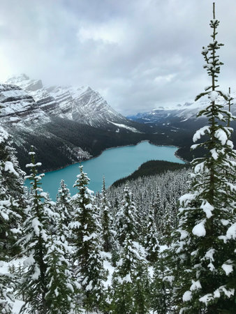 The stunning and blue shining Lake Peyto on a snowy day in fallの写真素材