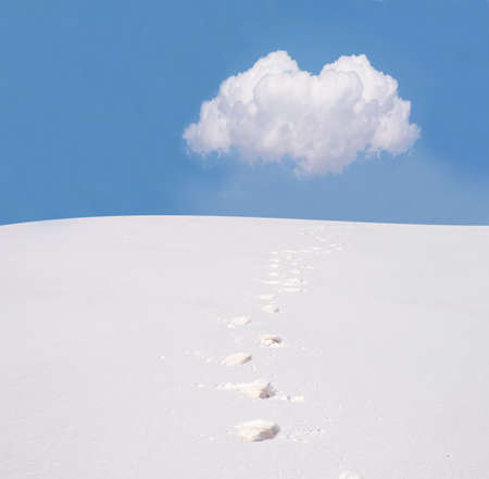 Footsteps on the snow. の写真素材