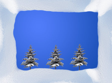 Snow border and firの写真素材