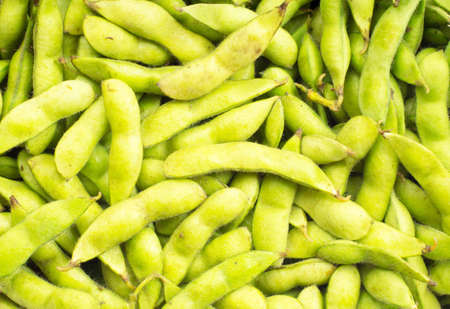 green soy bean on white backgroundの写真素材