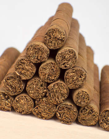 close-up. The photograph shows the raw material from which cigars are made.の写真素材