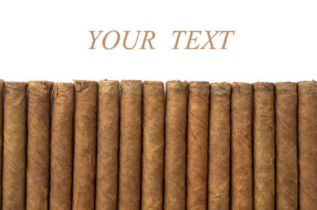 cuban cigar with reflection in white background perspectiveの写真素材