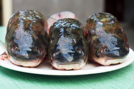 Fresh ingredients of the head in the kitchen 