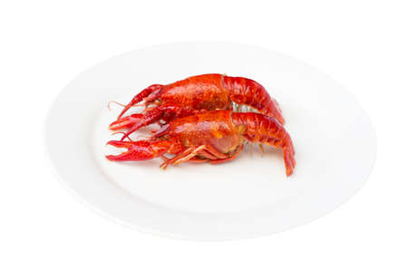 Boiled crawfish is isolated on the plateの写真素材