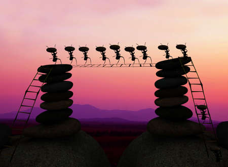 Ants porters in the sunsetの写真素材