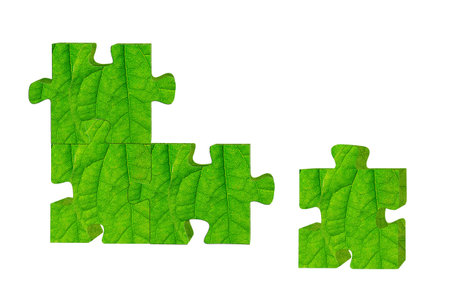 Green leaves of the puzzle の写真素材