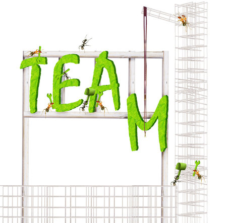 Ants construction team slogansの写真素材