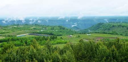 After the rain forests of the fog
