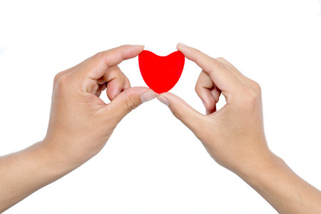 love concept. holding a red heart in hands.